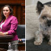 Posłanka z Łodzi demaskuje pseudohodowle
