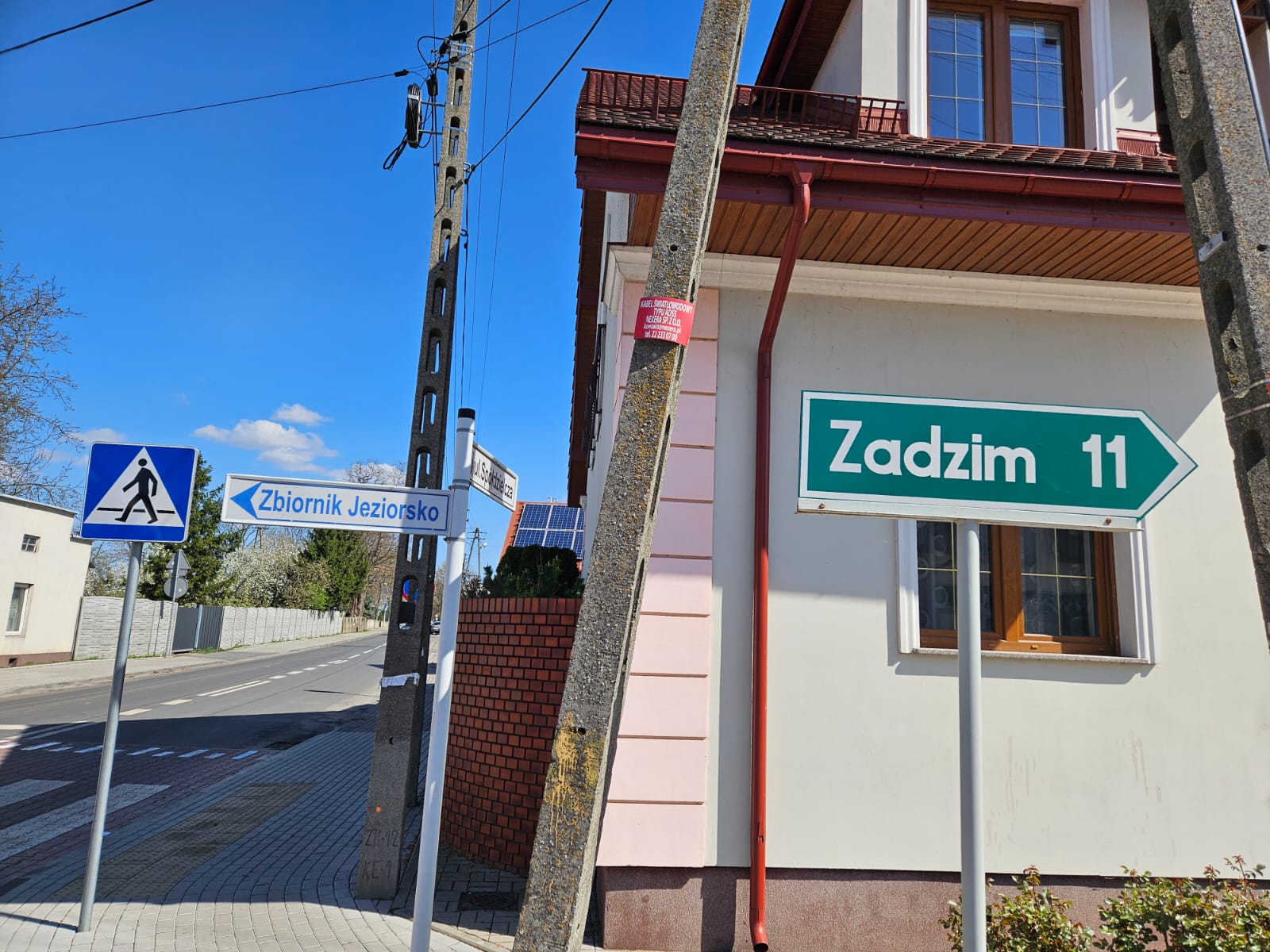 Wycinka drzew pod remont drogi w powiecie poddębickim