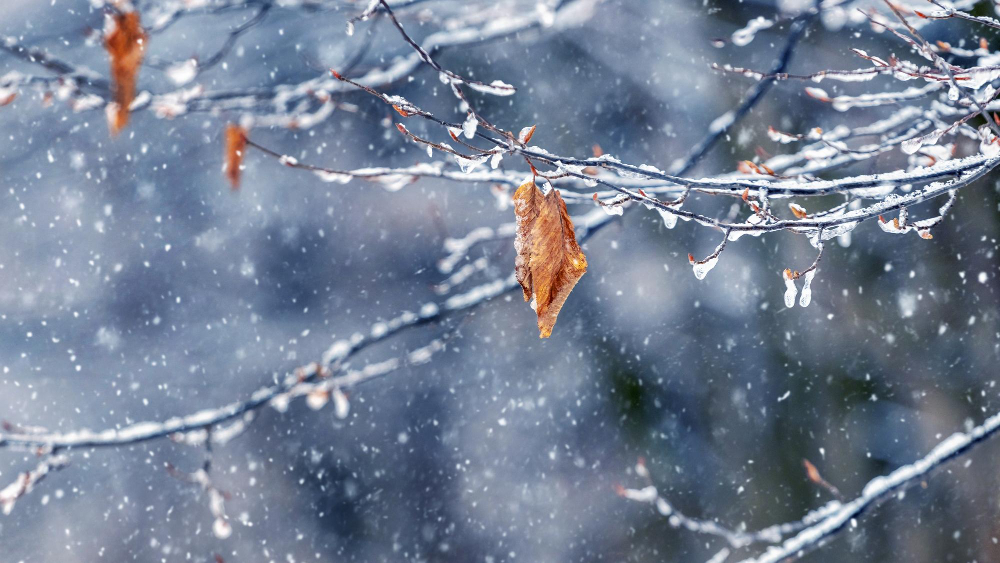 W środę znów może padać śnieg [PROGNOZA]