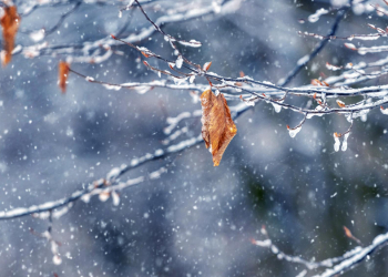 W środę znów może padać śnieg [PROGNOZA]