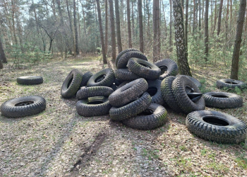 Kilkadziesiąt opon porzuconych w lesie pod Piotrkowem. Nadleśnictwo poszukuje sprawców