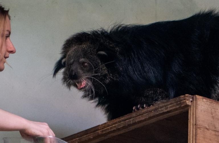 Pracownik łódzkiego ZOO poszukiwany. Potrzebny opiekun egzotycznych zwierząt