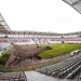 Wymiana murawy na stadionie ŁKS Łódź