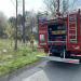 Płonąca wiewiórka spowodowała pożar w lesie pod Radomskiem. „Została porażona prądem” 13 Płonąca wiewiórka spowodowała pożar w lesie pod Radomskiem. „Została porażona prądem”