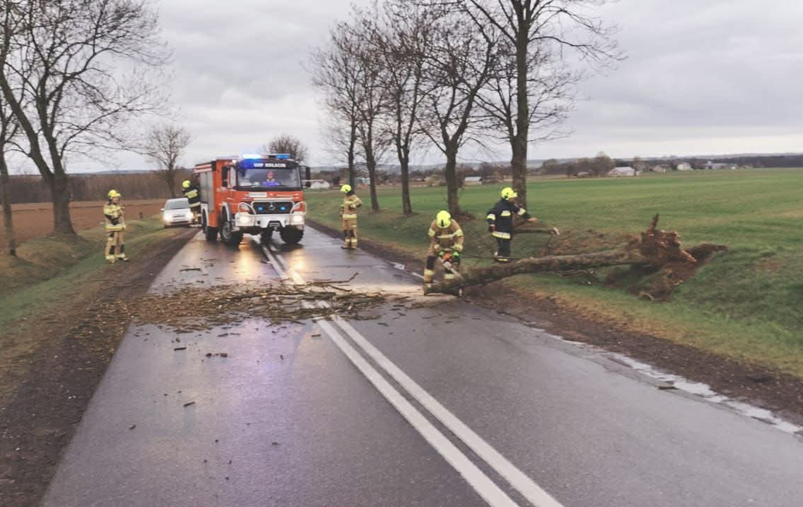 Silny wiatr w regionie. 161 interwencji strażaków, w Łodzi ranny kierowca [ZDJĘCIA]