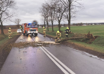 Silny wiatr w regionie. 161 interwencji strażaków, w Łodzi ranny kierowca [ZDJĘCIA]