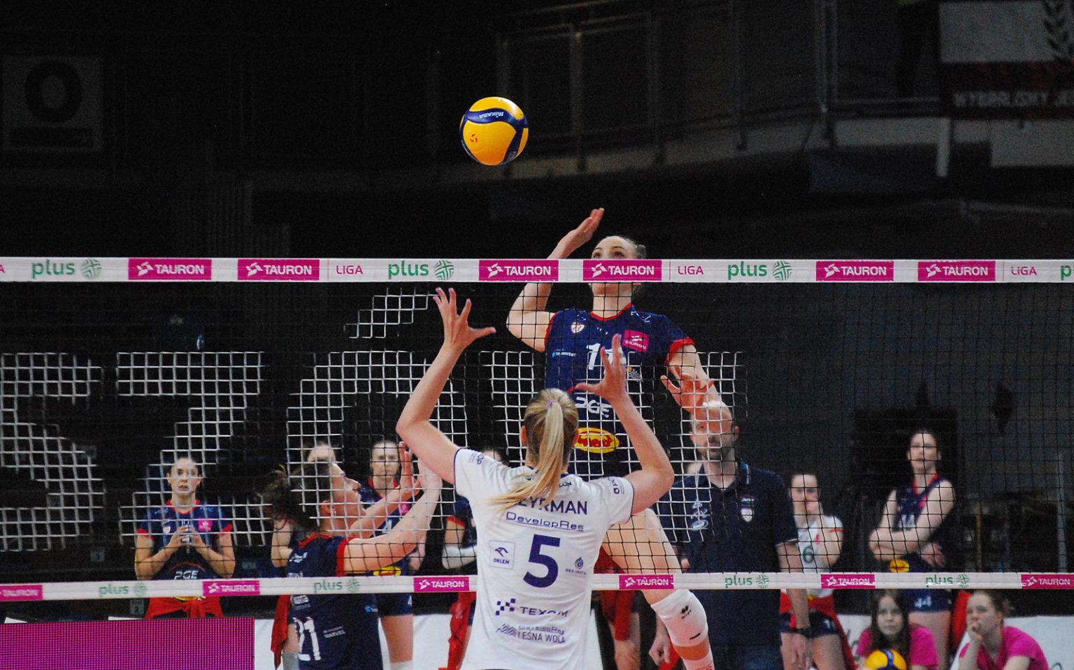 DevelopRes Rzeszow PGE Budowlani Lodz fot Robert Zwolinski 14