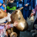 Odsloniecie Pomnika Muminka fot Sebastian Szwajkowski 19