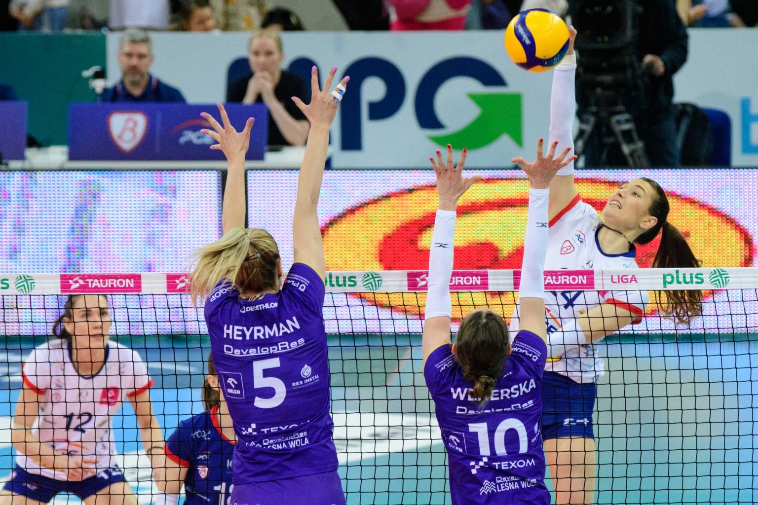 PGE Budowlani vs Developres Rzeszów fot Sebastian Szwajkowski_19 PGE Budowlani vs Developres Rzeszow fot Sebastian Szwajkowski 19