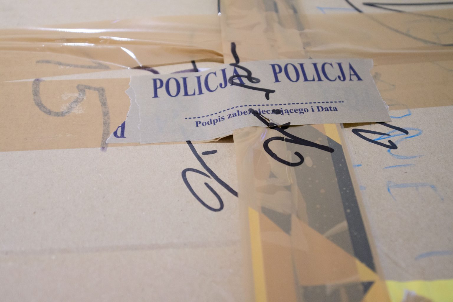 Powrot Misia Uszatka do Lodzi fot Sebastian Szwajkowski 1