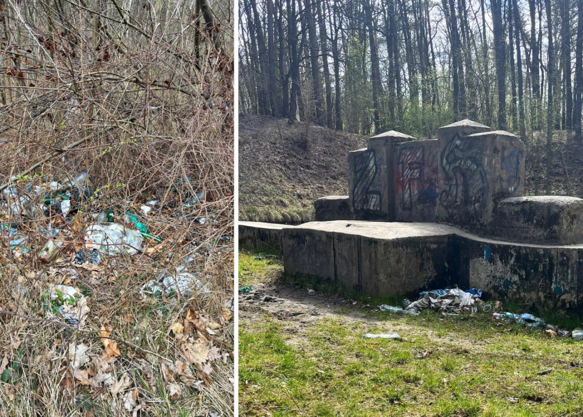 Góra śmieci pod zgierską Malinką. Mieszkańcy proszą o interwencję 1 Góra śmieci pod zgierską Malinką. Mieszkańcy proszą o interwencją