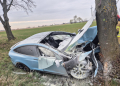 Tesla uderzyła w drzewo i zapłonęła [ZDJĘCIA[ 6 Tesla uderzyła w drzewo i zapłonęła