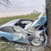 Tesla uderzyła w drzewo i zapłonęła [ZDJĘCIA[ 10 Tesla uderzyła w drzewo i zapłonęła