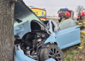 Tesla uderzyła w drzewo i zapłonęła [ZDJĘCIA[ 3 WhatsApp Image 2026 04 03 at 10.46.20