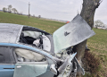 Tesla uderzyła w drzewo i zapłonęła [ZDJĘCIA[ 5 WhatsApp Image 2026 04 03 at 10.46.24