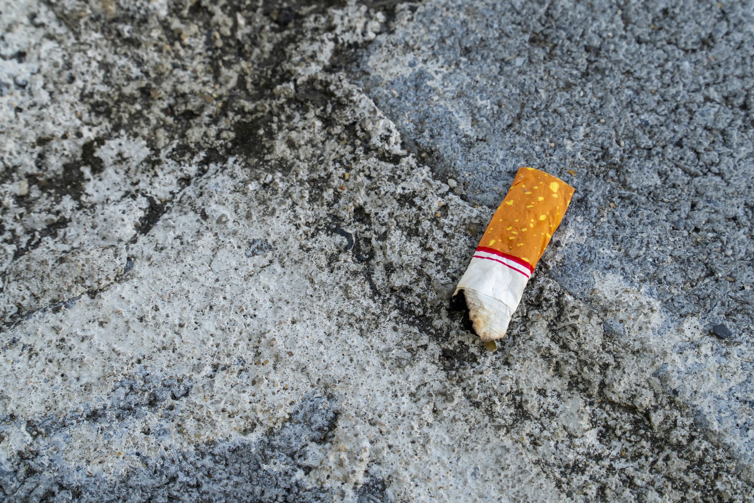 "Petogedon" na Bałutach. Mieszkańcy skarżą się na niedopałki porzucone na ulicy