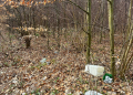 Góra śmieci pod zgierską Malinką. Mieszkańcy proszą o interwencję 9 processed 0764CB80 A604 4062 B3D6 77A1F17A2454