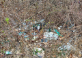 Góra śmieci pod zgierską Malinką. Mieszkańcy proszą o interwencję 6 processed 39E472DC 8479 4D95 9734 88AE765EACCB