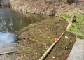 Góra śmieci pod zgierską Malinką. Mieszkańcy proszą o interwencję 7 processed B071FAA3 92AD 4761 B934 81EC910AAB2D