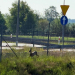 Sarna w potrzasku. Niecodzienna interwencja policjantów przy S14 [ZDJĘCIA]