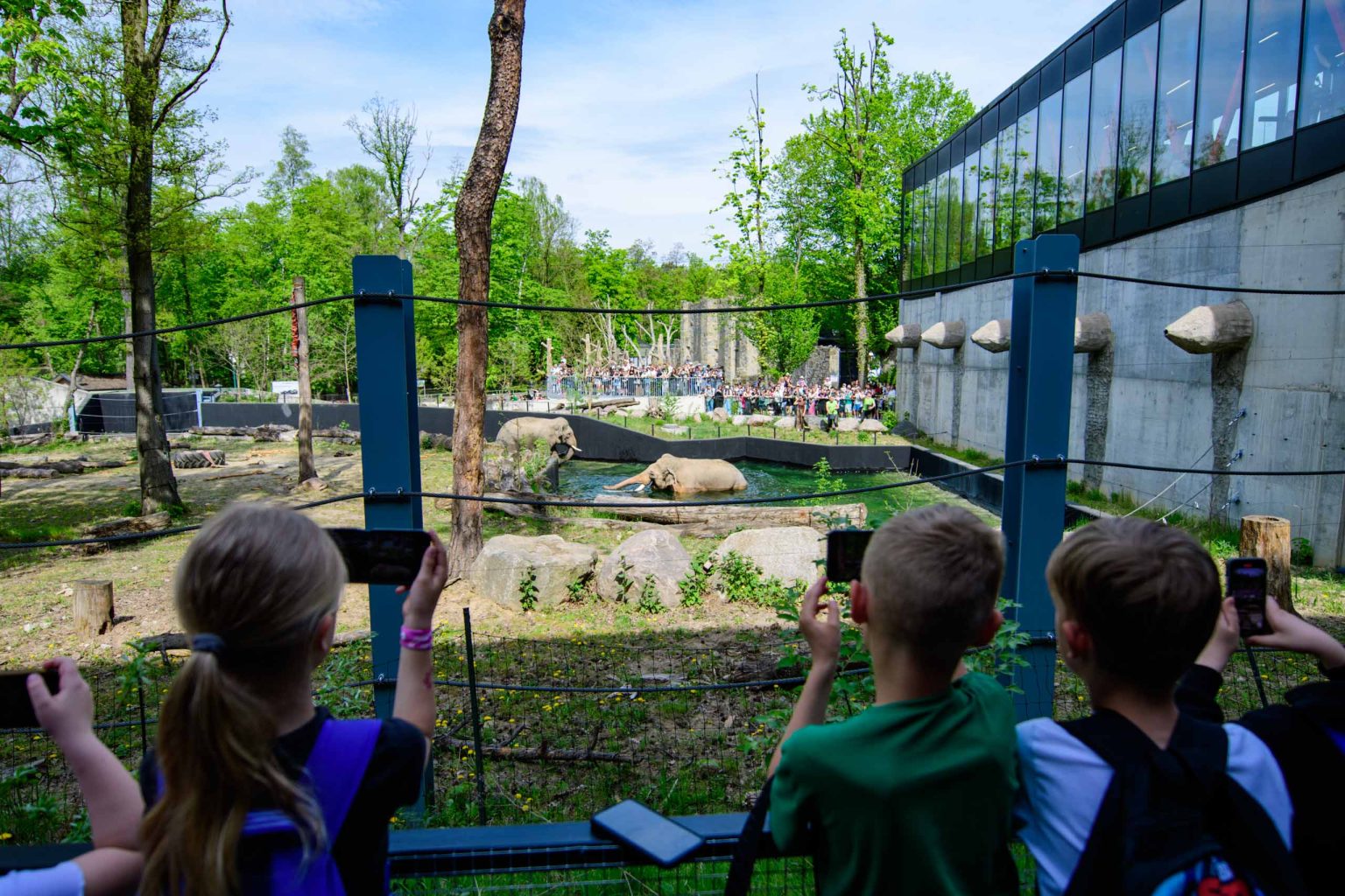 Kąpiel słoni w łódzkim zoo fot Sebastian Szwajkowski_1 Kapiel sloni w lodzkim zoo fot Sebastian Szwajkowski 1