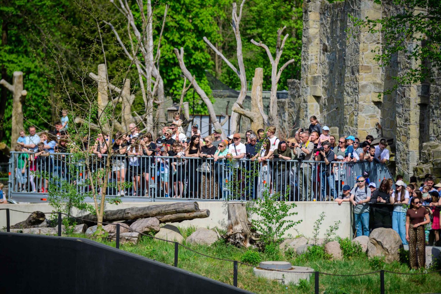 Kąpiel słoni w łódzkim zoo fot Sebastian Szwajkowski_5 Kapiel sloni w lodzkim zoo fot Sebastian Szwajkowski 5