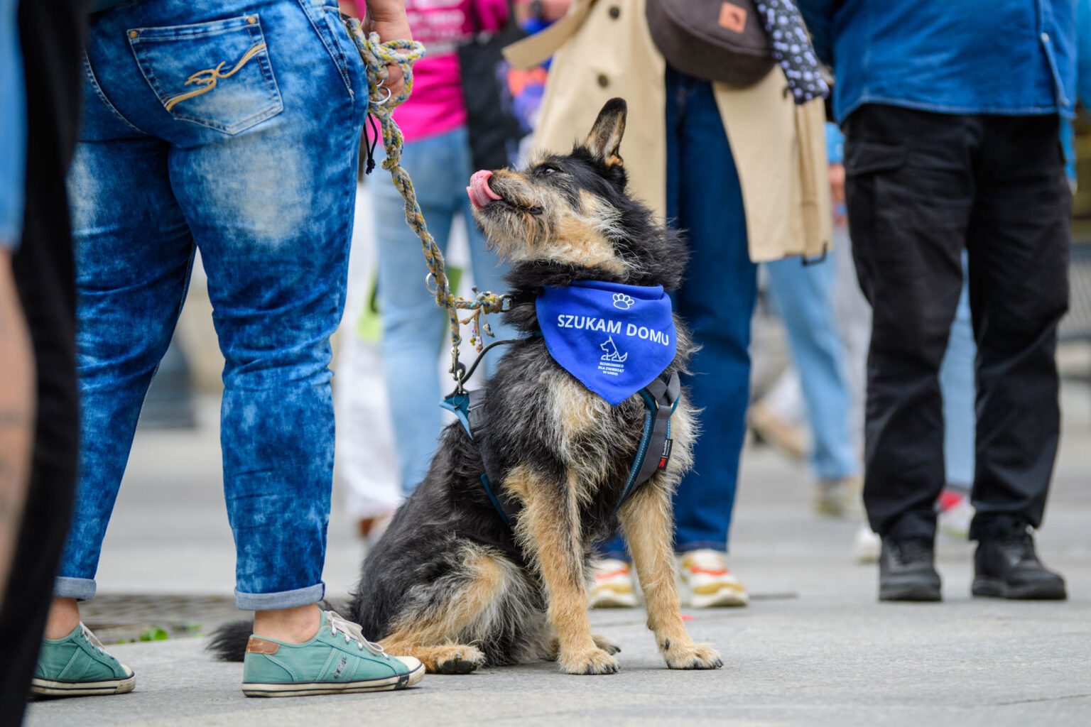 Parada Kundelkow 2026 fot Sebastian Szwajkowski 2