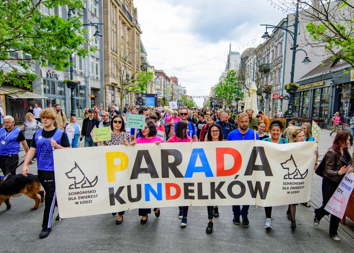 Parada Kundelków w Łodzi. Dziesiątki czworonogów i wolontariuszy przemaszerowały Piotrkowską [ZDJĘCIA]