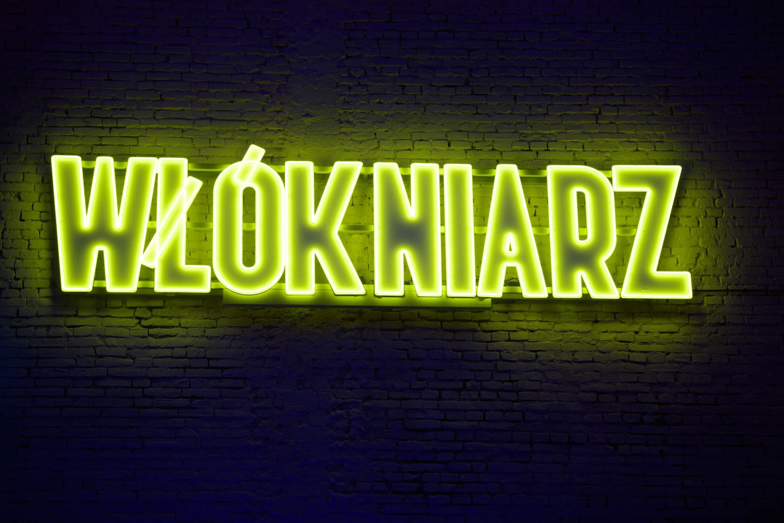 Proba generalna Galererii Neonow fot Sebastian Szwajkowski 14