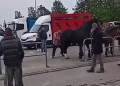 Dorożkarz z Krakowa stracił pracę. To konsekwencje agresji wobec konia 5 Dorożkarz z Krakowa stracił pracę. To konsekwencje agresji wobec konia