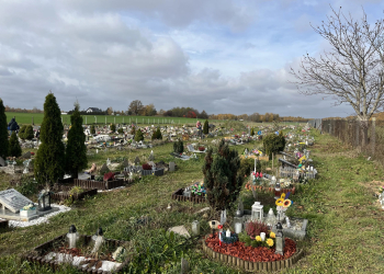 Cmentarz dla zwierząt w Kutnie coraz bliżej