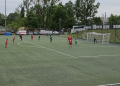 lechia tm swit ndm 10 scaled