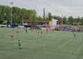 lechia tm swit ndm 6 scaled