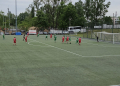 lechia tm swit ndm 8 scaled