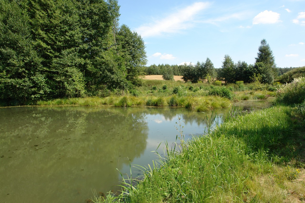 Park Krajobrazowy Wzniesień Łódzkich, fot. parkilodzkie.pl