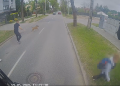 Kierowca łódzkiego MPK uratował kobietę przed psem [ZOBACZ NAGRANIE]