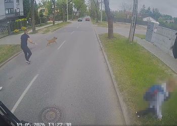 Kierowca łódzkiego MPK uratował kobietę przed psem [ZOBACZ NAGRANIE]