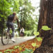 Nowe chodniki i trasy rowerowe w powiecie zgierskim 10 Powiat zgierski: nowe chodniki i trasy rowerowe