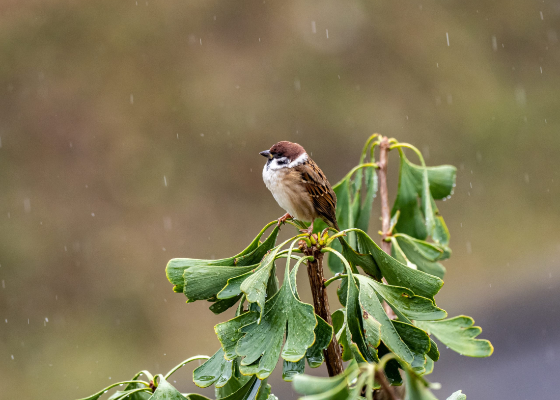 Pogoda na weekend | Pogodowej ruletki ciąg dalszy 1 Pogoda na weekend | Pogodowej ruletki ciąg dalszy