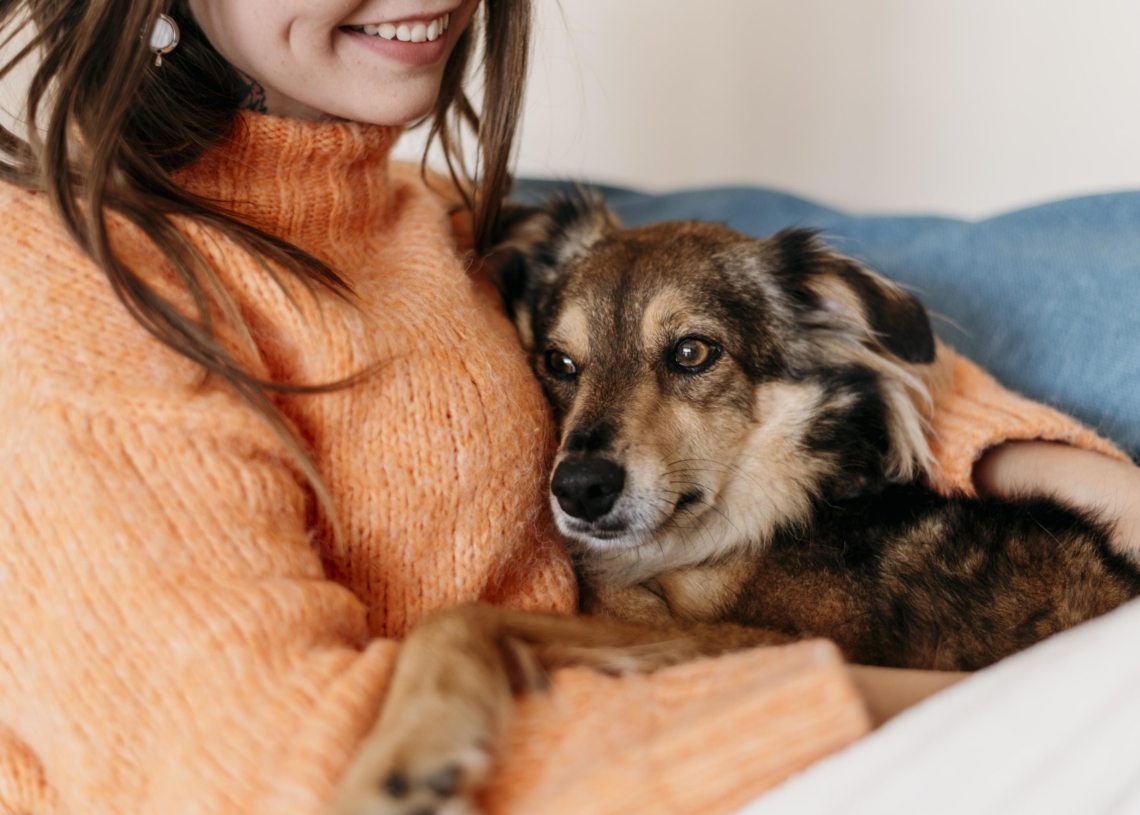 Kamieńsk walczy z bezdomnością zwierząt. Są pieniądze na sterylizację i adopcje