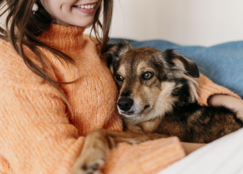 Kamieńsk walczy z bezdomnością zwierząt. Są pieniądze na sterylizację i adopcje