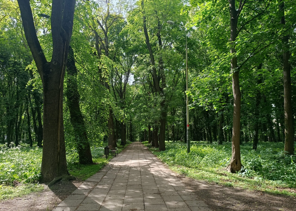 Spacer po Rokiciu parkowym szlakiem