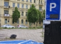 Darmowe miejsca parkingowe znikają z centrum Łodzi. Ile zapłacimy przy Pomorskiej? 3 1000023364 scaled