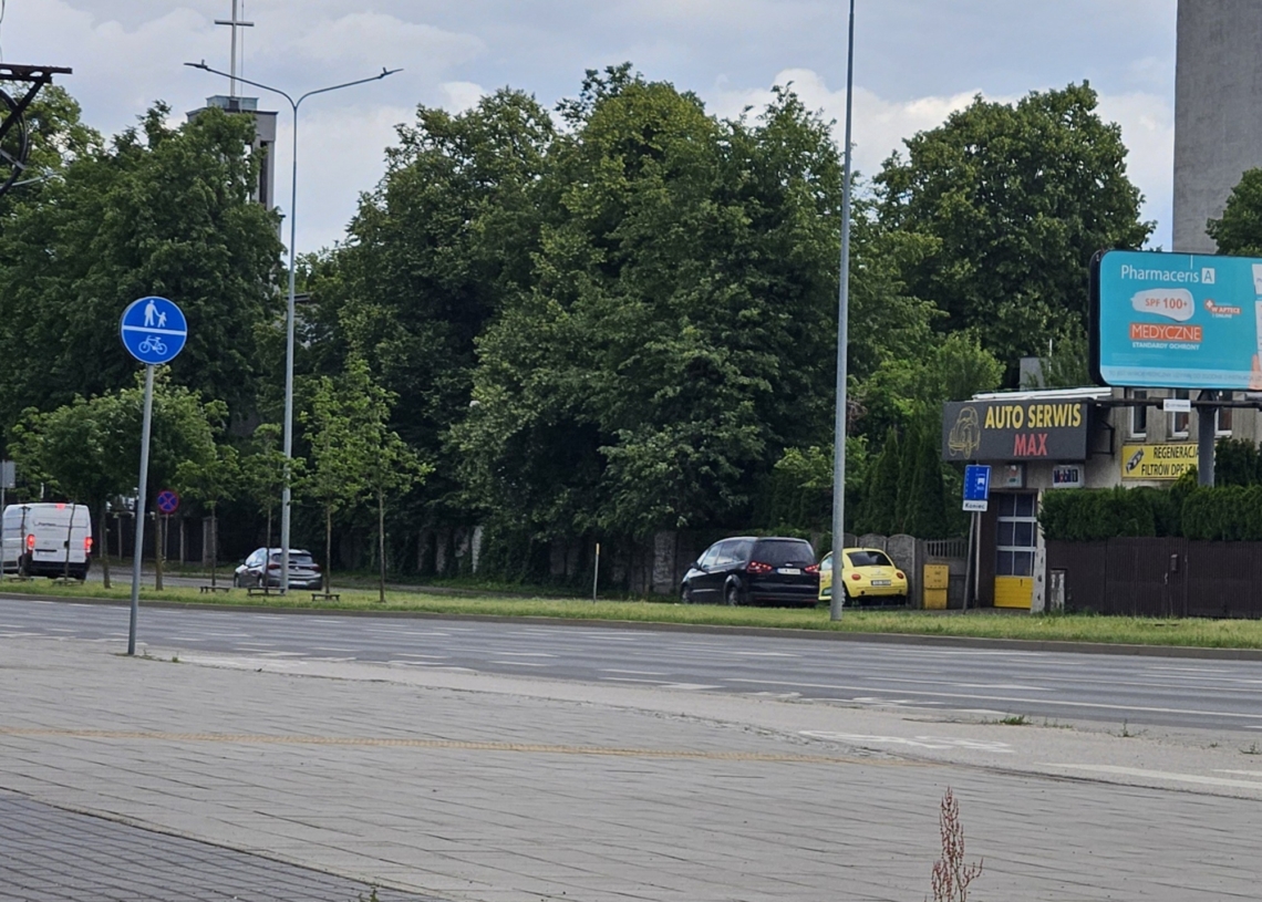 Mieszkańcy Bałut chcą więcej zieleni na Inflanckiej