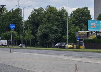 Mieszkańcy Bałut chcą więcej zieleni na Inflanckiej