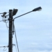 Nie zdążą do końca roku. Wymiana ulicznych lamp w Piotrkowie z opóźnieniem
