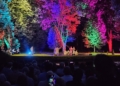 Wianki, taniec i magia przesilenia. Noc Świętojańska w łódzkim Ogrodzie Botanicznym [ZDJĘCIA]