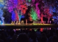 Wianki, taniec i magia przesilenia. Noc Świętojańska w łódzkim Ogrodzie Botanicznym [ZDJĘCIA]