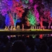 Wianki, taniec i magia przesilenia. Noc Świętojańska w łódzkim Ogrodzie Botanicznym [ZDJĘCIA]