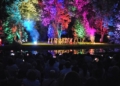 Wianki, taniec i magia przesilenia. Noc Świętojańska w łódzkim Ogrodzie Botanicznym [ZDJĘCIA]